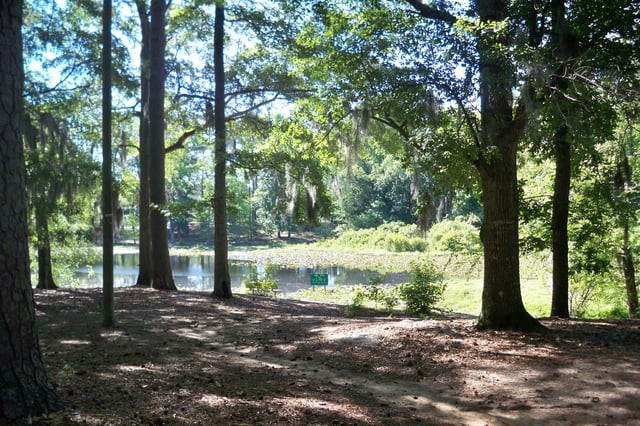 McLeod Park