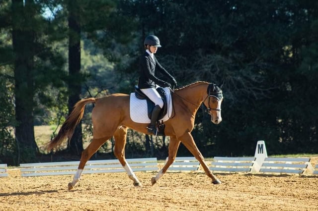 Sandy River Equestrian Center 4
