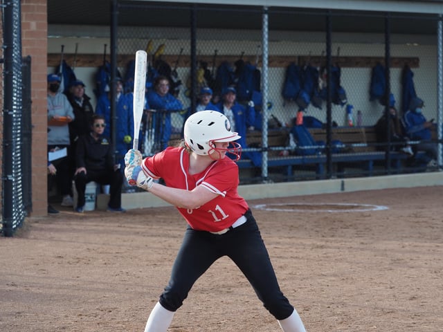 Cherry Tree Softball Complex 3