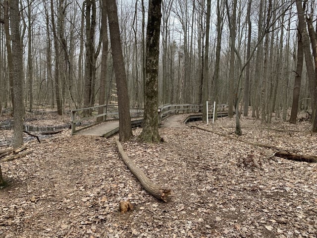 Fairview Nature Park9