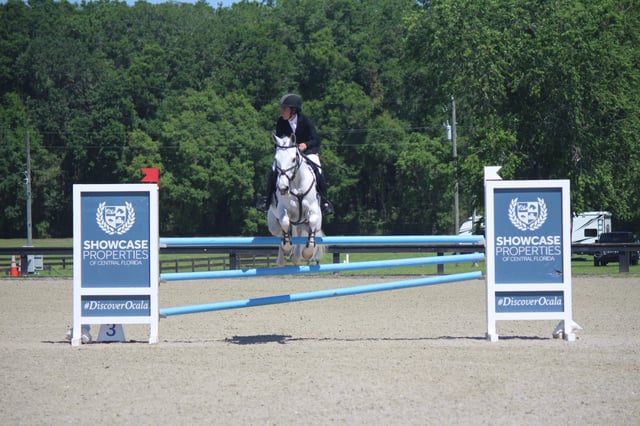 Florida Horse Park4