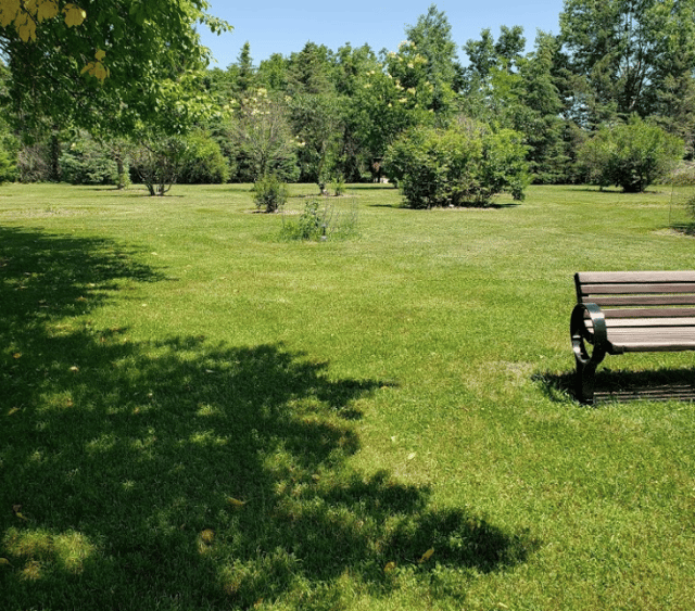 morgan creek park 3