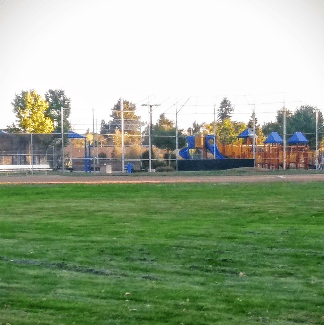 Screen Shot 2020-06-22 at 12.00.38 PM