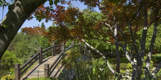 Woodward Park 4