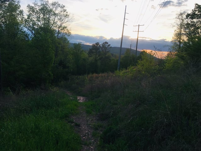 Eagle Walk at Mill Creek 2