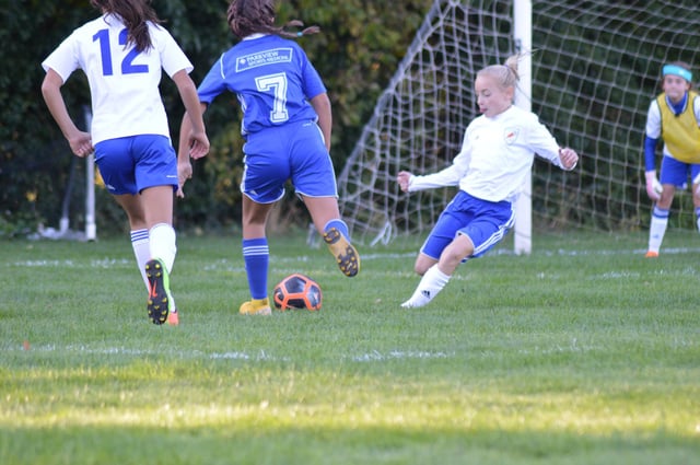 NIBCO Soccer Fields Elkhart5