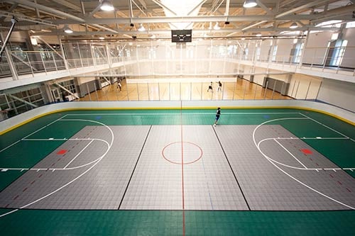 Loyola University 7