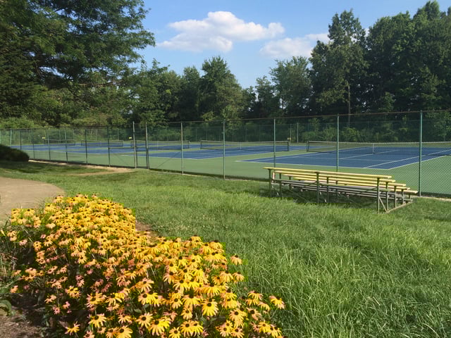 Springside Athletic Club 2