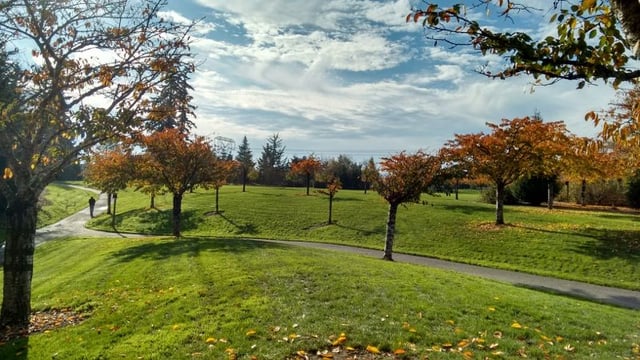 Orchard Park Disc Golf Course5
