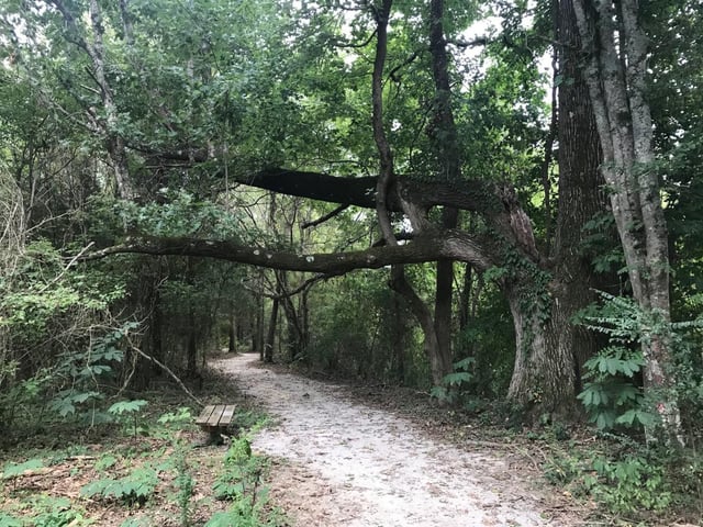 Music Bend Nature Trail 3