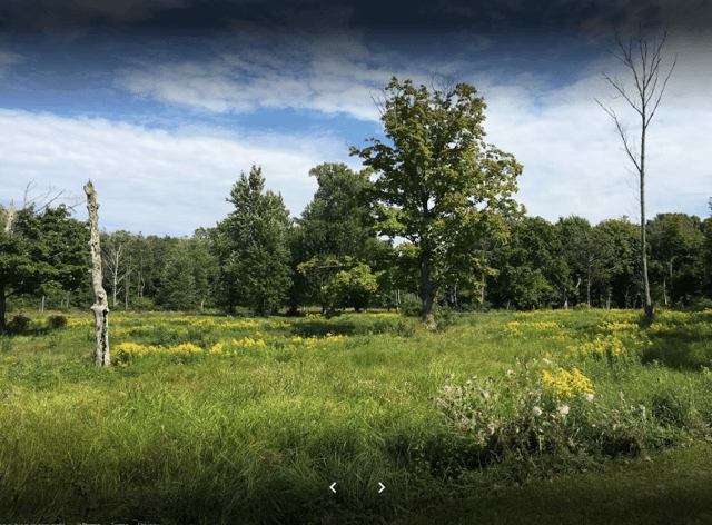 casco township nature 6