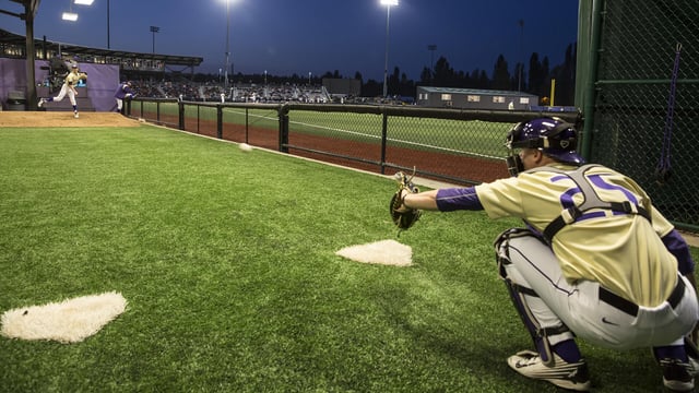 HUSKY%20BALLPARK2
