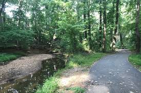 King Park 2