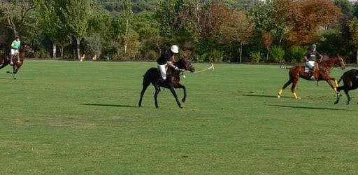Brandywine Polo Fields & Club