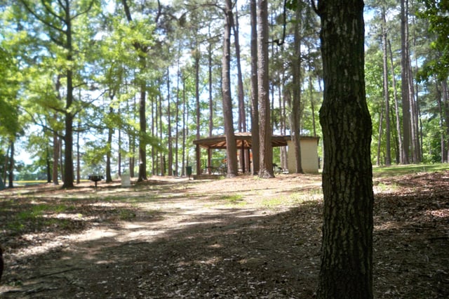McLeod Park1