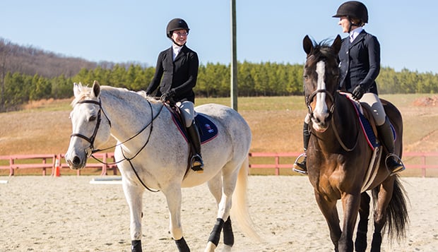 W.E. Johnson Equestrian & Archery Park 3