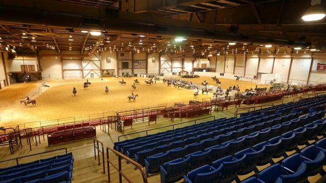 Horse 3.jpg