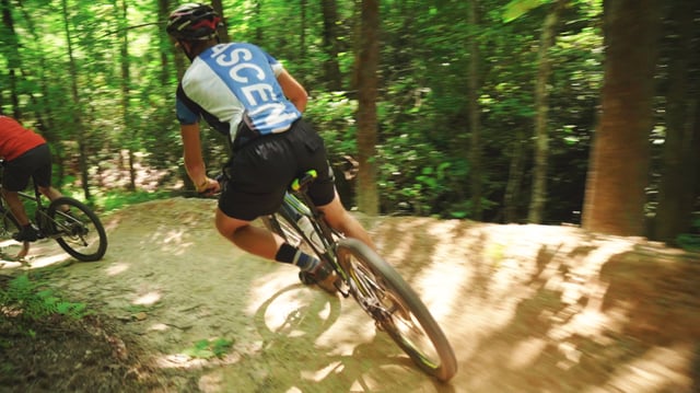 Stumphouse Mountain Bike Park 1