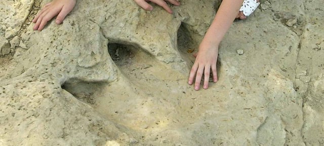 Dinosaur Valley State Park2