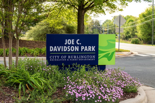 Davidson 2