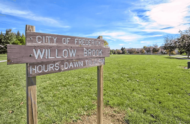 Screen Shot 2020-11-02 at 1.09.19 PM