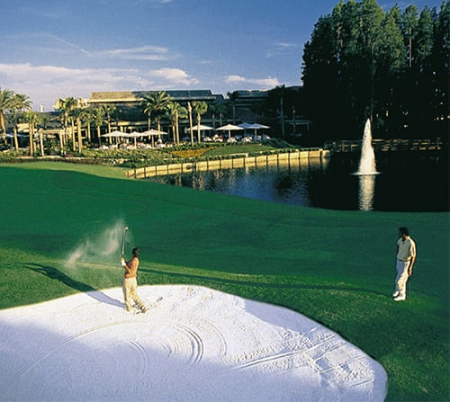 Saddlebrook Resort 2