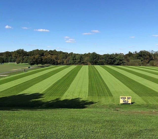 Field 9 - Stripes