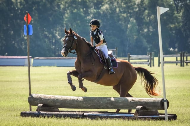 Florida Horse Park2