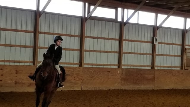 Equine Differences 5