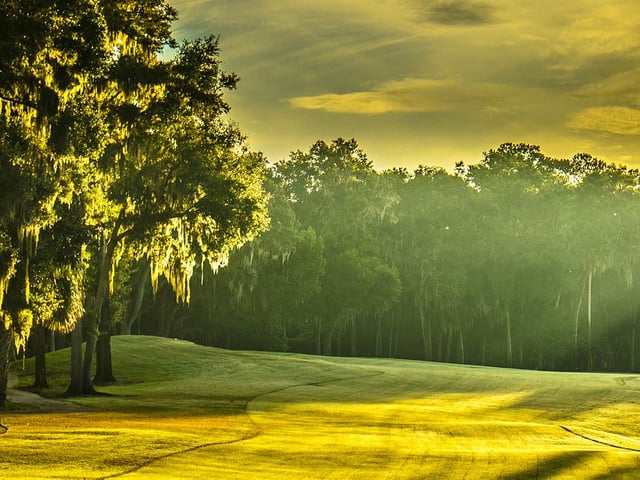 Country Club of Ocala3