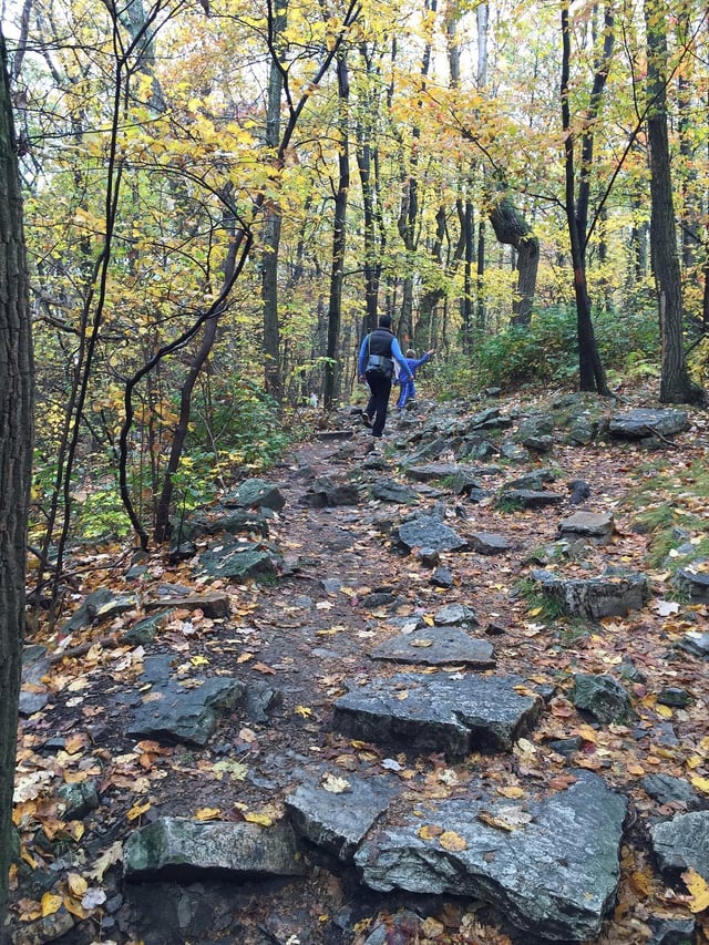 Hawk Mountain5