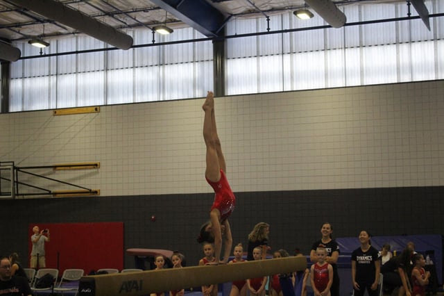 14481792_1234985016552194_1276320495141164740_o