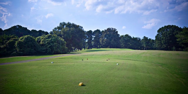 orgill park golf course 4