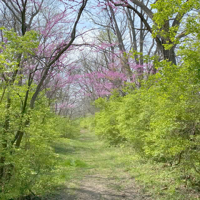 Caesar Ford Park5