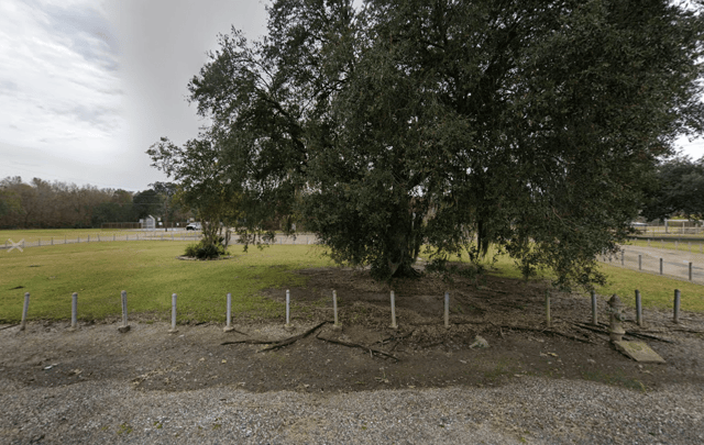 RoseThorne Playground 1