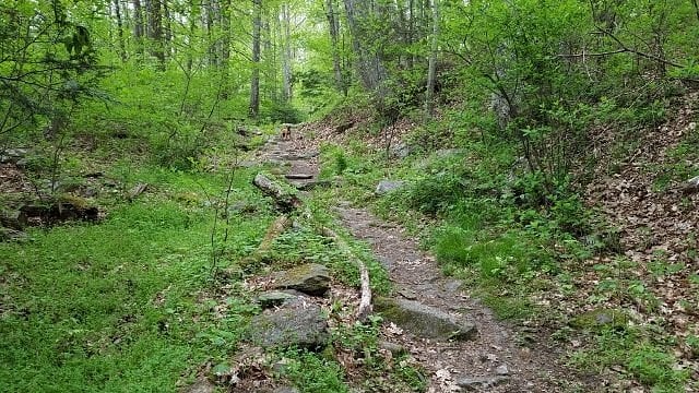 Pine Grove Furnace State park6