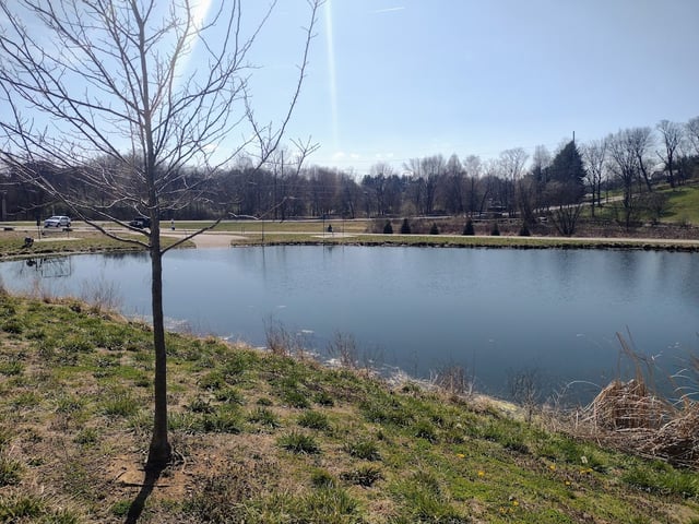 Chapel Lake Park4