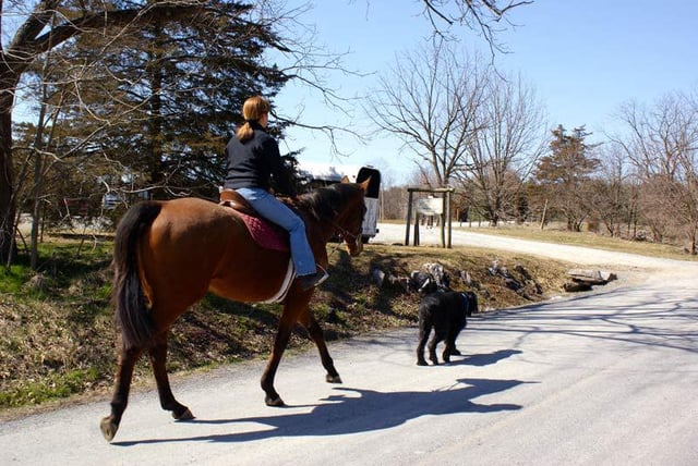 Winsome Farm
