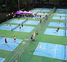 pickleball virginia beach courts.jpeg