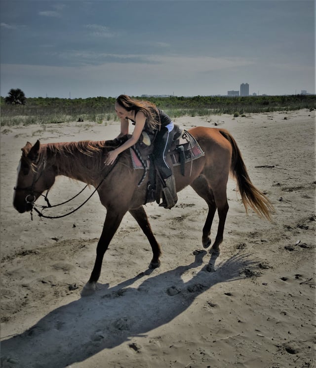Galveston Horse and Pony Rides