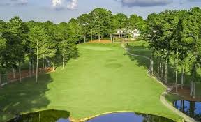 terri pines golf.jpeg