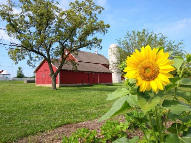 Mokena Community Park District 3