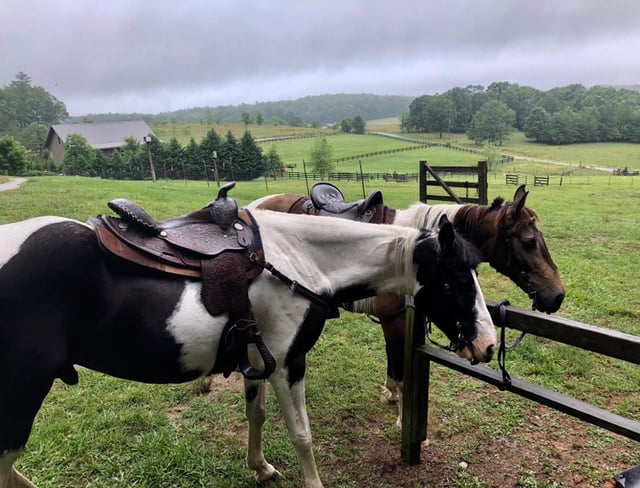 Chattooga Trails Bed & Barn7