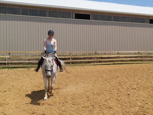 Equine Differences 1