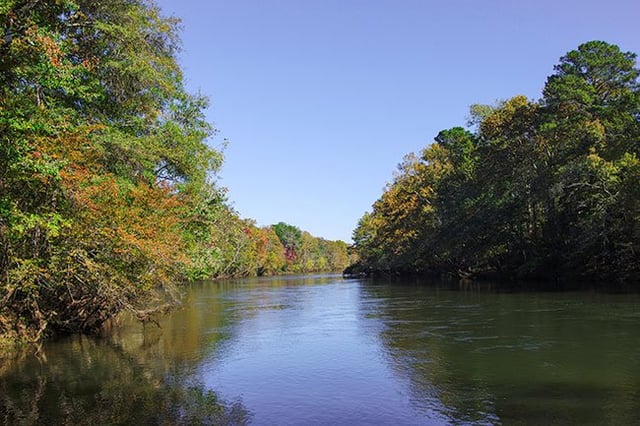 Saluda River 3