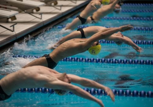 20121109-Swimming-vs.-IUPUI-022-500x350