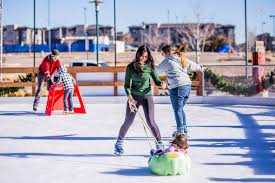 WinterSkate 3