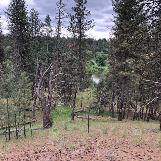 Riverside State Park9