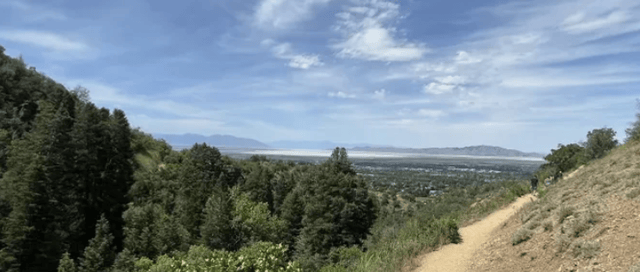 Screen Shot 2024-09-30 at 3.39.10 PM.png