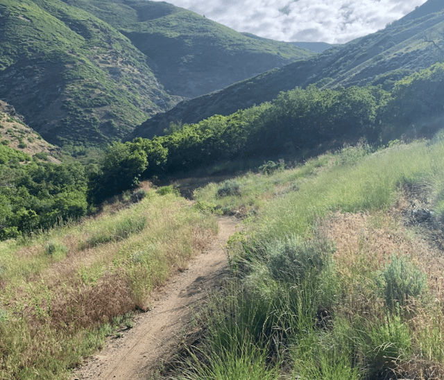 Screen Shot 2024-09-30 at 3.48.21 PM.png